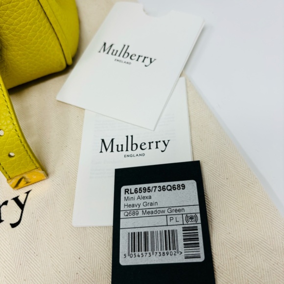 Mulberry Mini Alexa - Meadow Green Heavy Grain - Picture 2 of 10